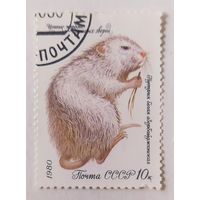 СССР 1980, нутрия белая