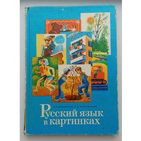 Баранников, Варковицкая Русский язык в картинках часть 2