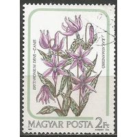 Венгрия. Лилия Кандык Европейский. 1985г. Mi#3790.