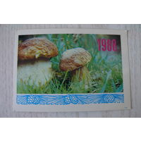 Календарик, 1987, Гриб боровик, изд. Украина.