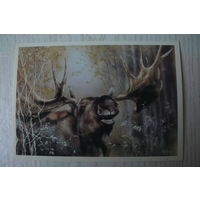 Исаков А., Лось; 1989, чистая.