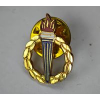 Факел значок