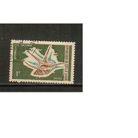 Кот-Дивуар-1971(Мих.391),  гаш.,   Морская  Фауна ,Раковины