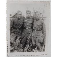 Фото в коллекцию