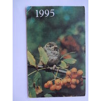 Календарик 1995 г.  Воробей.