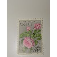 Алжир  марка 1973 год цветы