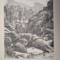 ЦЕЙЛОНСКИЕ ПЕЙЗАЖЪ. гравюра конец 19в.-20в.  27х17.5см.