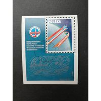 Польша 1980 Блок Mi.82 и маркой "Международное научно-техническое сотрудничество в рамках Программы "ИНТЕРКОСМОС"" (гашение с клеем) Mi.2680 каталог 1.10 евро