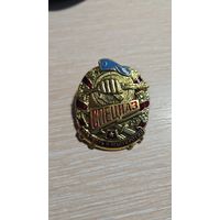 Знак значок ВС РФ - ВДВ - ГОЛУБОЙ берет / Спецназ . БОЛЬШОЙ накладной