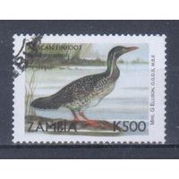 [1587] Замбия 1999. Фауна.Птица. Гашеная марка.