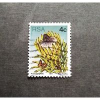 Марка ЮАР 1977 год Цветы