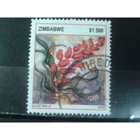 Зимбабве, 2004. Алоэ