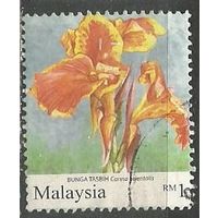 Малайзия. Садовые цветы. Красавица Канна. 2010г. St#1763.
