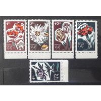 СССР 1965г. Серия из 5 марок с полями. Цветы. **