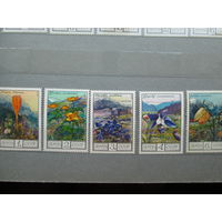 Цветы 1976 г