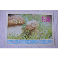 Календарик, 1987, Гриб боровик, изд. Украина.