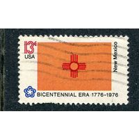 США. Флаг штата Мексико