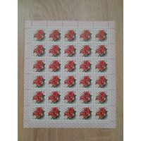 Лист 1981 г. Цветы украинских Карпат  32 к.