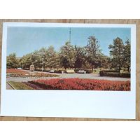 Минск. Парк им. 30-летия БССР. 1966 г. ПК. Чистая