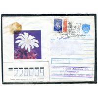 Беларусь. ХМК. Конверт п.п. Провизорий. Кактус. Гашение Орша 1993