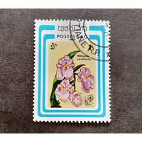 Марка Лаос 1985 Цветы