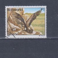 [1967] Ботсвана 1982. Фауна.Хищные птицы.Гриф. Гашеная марка. Кат.гаш.21 е.