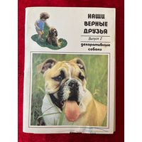Наши верные друзья. Выпуск 2. Декоративные собаки. 1991 год. 19 из 20 открыток