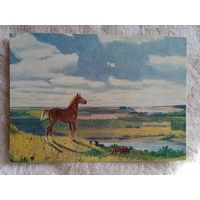 1960. Шурпин. На Оке