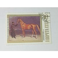 Почтовая марка  ,   Ахалтекинской жеребец  1882 года . С рубля .