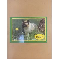 Календарь 1991 кошки/6