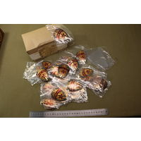 Упаковка знаков Начальник караула МВД СССР, 25 шт. одним лотом. Распродажа коллекции вещей. С РУБЛЯ! АУКЦИОН!