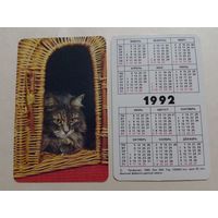 Карманный календарик. Котик.1992 год