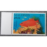 2002 - Рыба  большеглаз - Мальдивы
