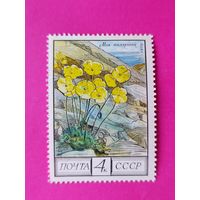 СССР. Флора СССР. ( 1 марка ) 1975 года. 3-1.