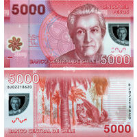 Чили 5000 песо 2014 год UNC (полимер с голограммным портретом)  Номер банкноты DA4050865