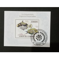 ЛИСТ ФАУНА рыбы морские обитатели  СТО