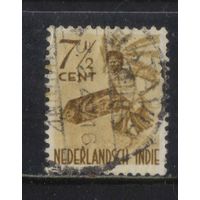 NL Колонии Нидерландская Индия  1948 Народные танцы Даяки Борнео #319