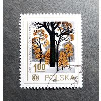 Марка Польша 1978 год Охрана природы