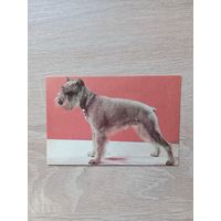 Календарик 1993