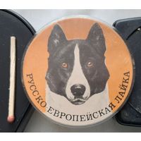 Русско-европейская лайка. Бв-58