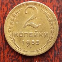 2 копейки СССР 1955 г. - лот 2