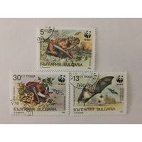 Всемирный фонд дикой природы (WWF) - Летучие мыши