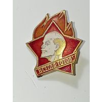 Пионерский значек с рубля