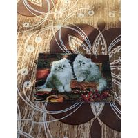 Календарик,коты,1998