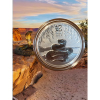 Австралия 50 центов 2025 года. Год Змеи . Серебро 9999! Сторгуй за свою цену