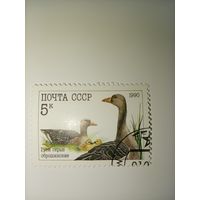 СССР 1990г. Гуси серые оброщинские.
