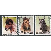 КНДР. Породы лошадей