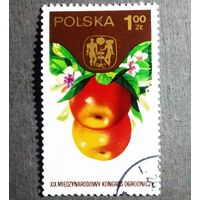 Марка Польша 1974 год XIX Международный конгресс садоводства