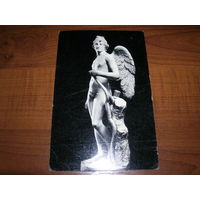 Эрмитаж Амур