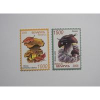 Марки РБ. Грибы. 2м.